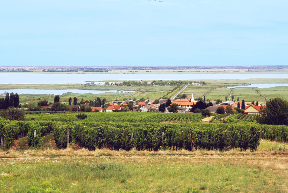Mörbisch am See