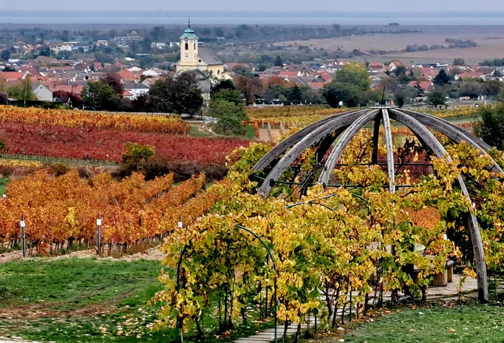 Oggau am Neusiedler See
