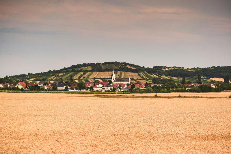 Schützen am Gebirge